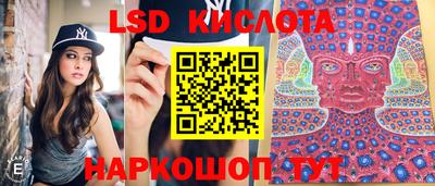 герыч Камышлов