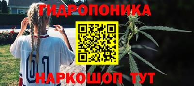 скорость Кандалакша
