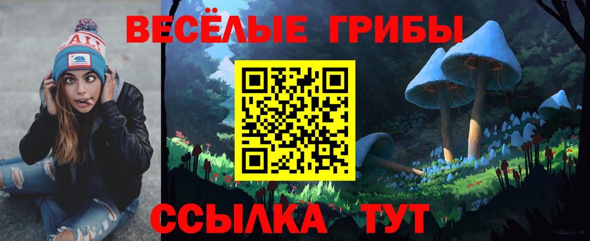 Псилоцибиновые грибы Psilocybine cubensis  Вход с VPN  Лесозаводск 